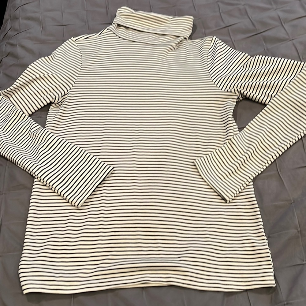 Mud Pie Striped Turtleneck